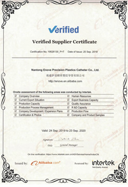 Enove Verified Supplier Certificate B