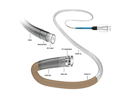 Delivery MicroCatheter